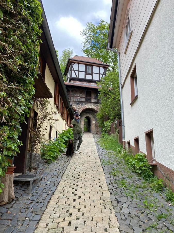 Idyll Lägenhet Welferode Exteriör bild